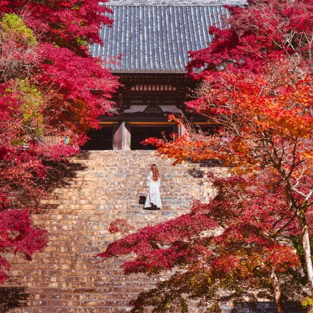 Best Day Trips from Kyoto