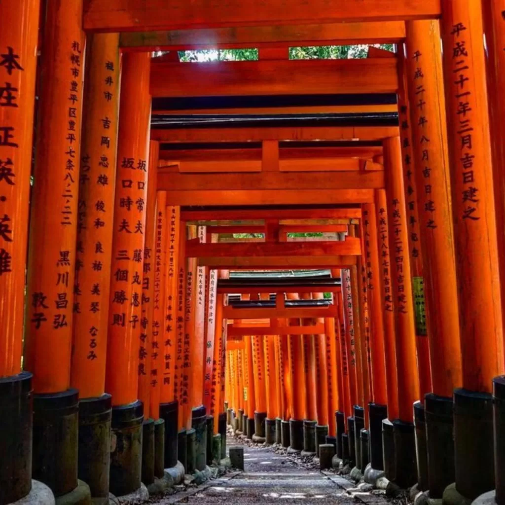 Best Destinations for Solo Travelers in Japan