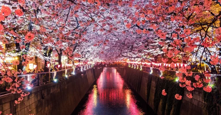 18 Best Festivals and Events to Experience in Japan