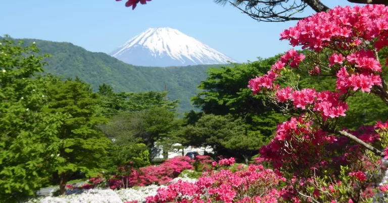 24 Best Historical Sites to Visit in Japan
