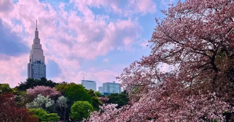 18 Best Parks to Visit in Tokyo