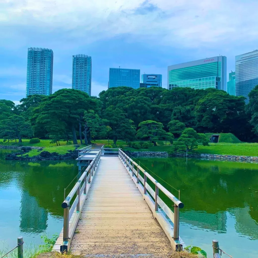 Best Parks to Visit in Tokyo
