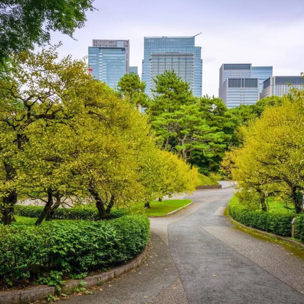 Best Parks to Visit in Tokyo