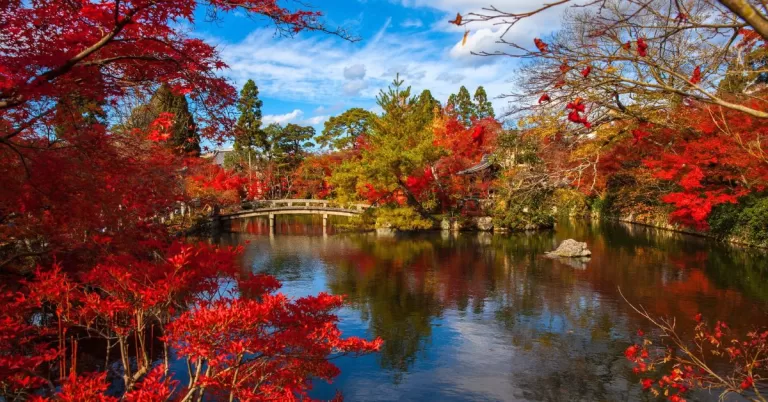 21 Best Places for Fall Foliage in Japan
