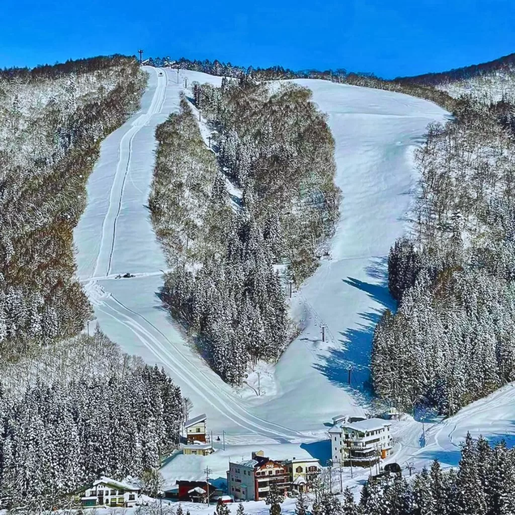 Best Places to Go Skiing Near Tokyo in Japan