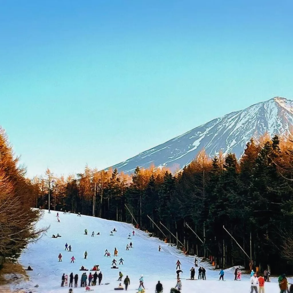 Best Places to Go Skiing Near Tokyo in Japan