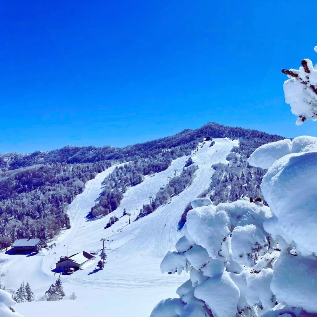 Best Places to Go Skiing Near Tokyo in Japan