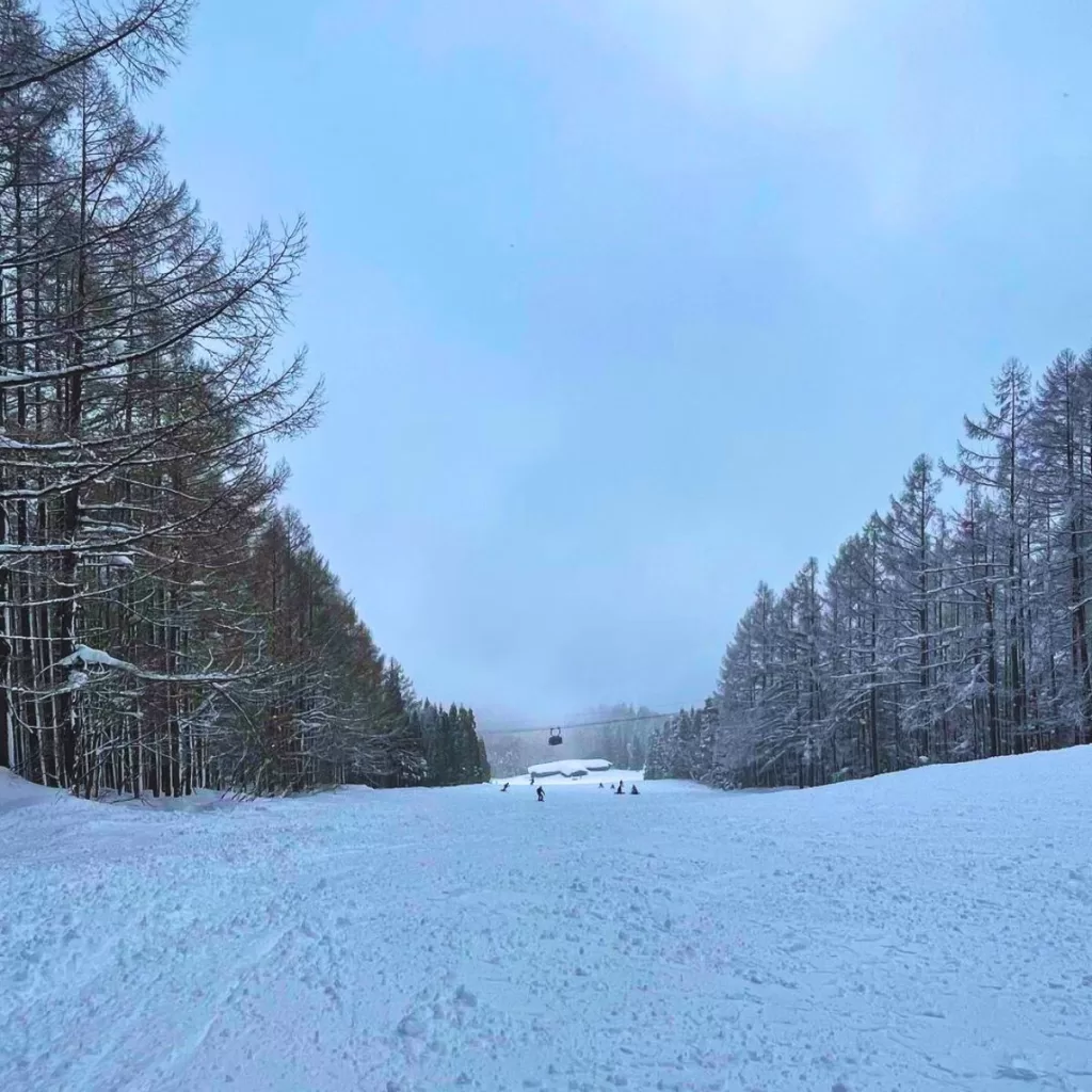 Best Places to Go Skiing Near Tokyo in Japan