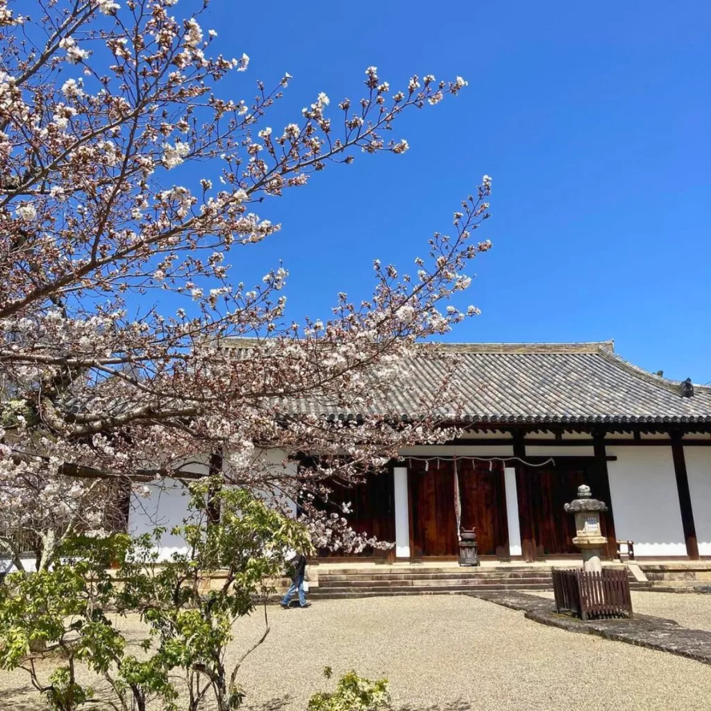 Best Temples To Visit In Nara