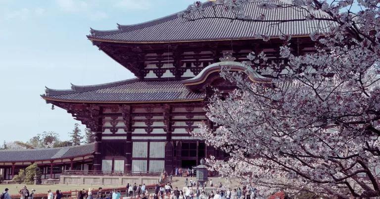 23 Best Things to See and Do in Nara