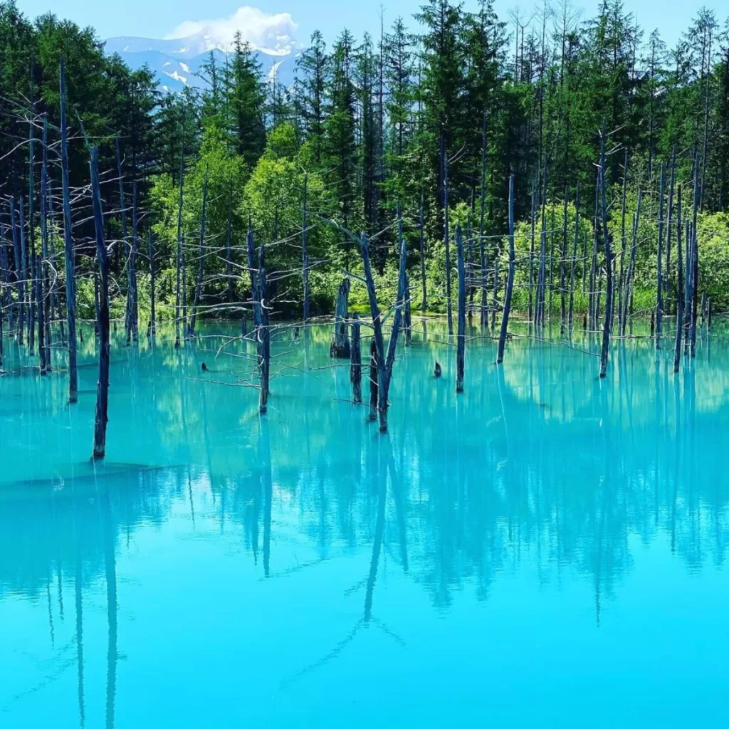 Blue Pond in Furano