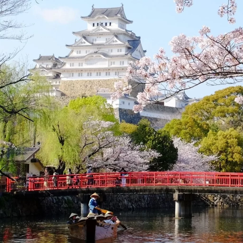 Himeji Castle Cherry Blossom Viewing Festival