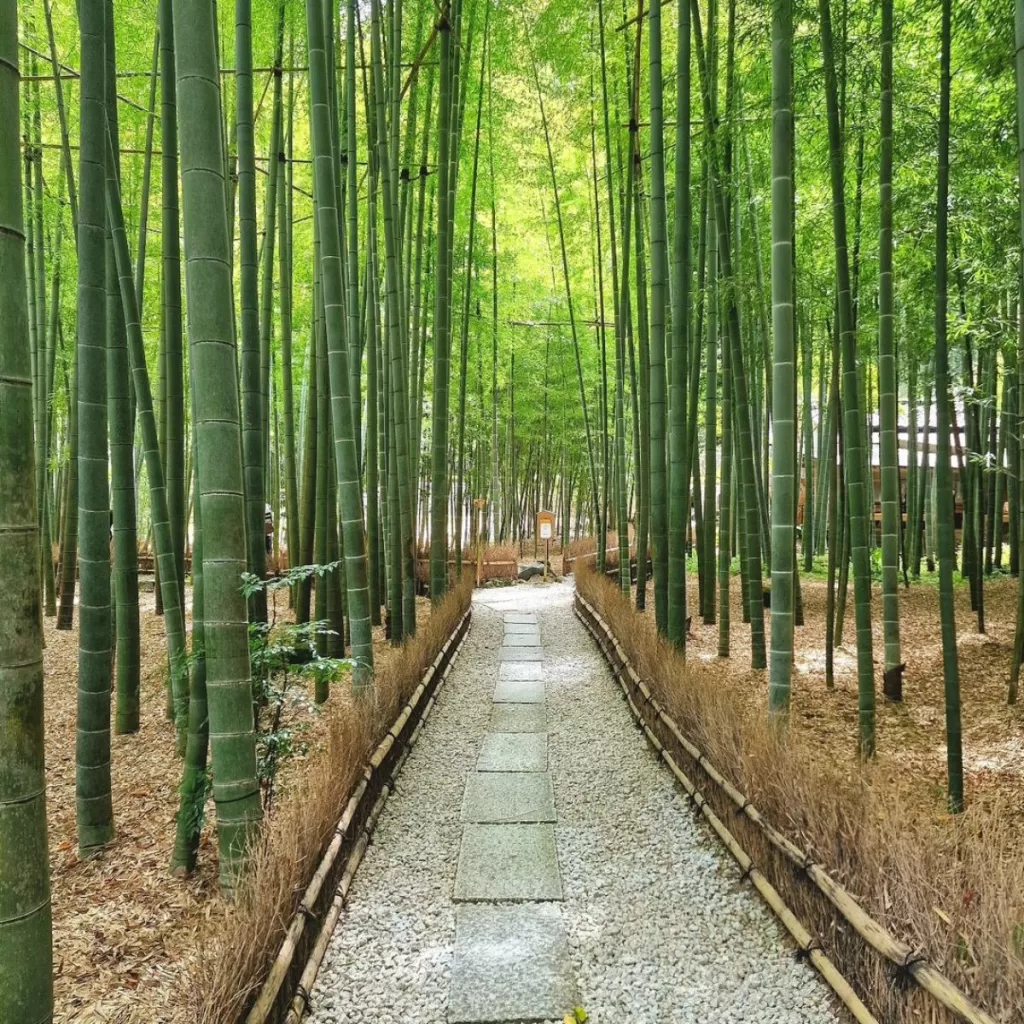 Hokoku-ji Temple