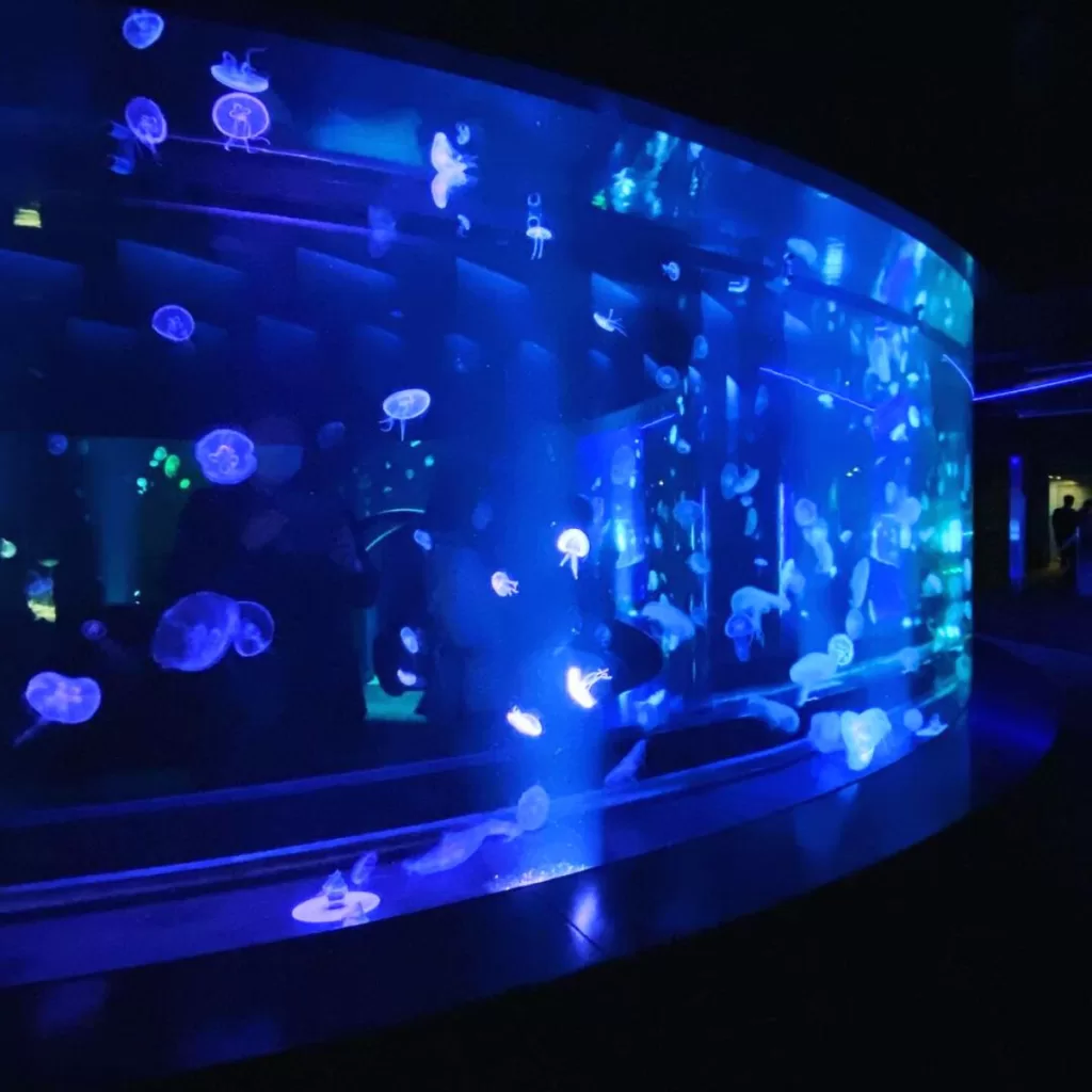 Kyoto Aquarium