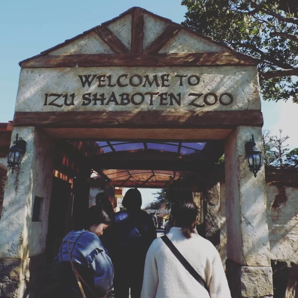Monkey Park Izu Shaboten