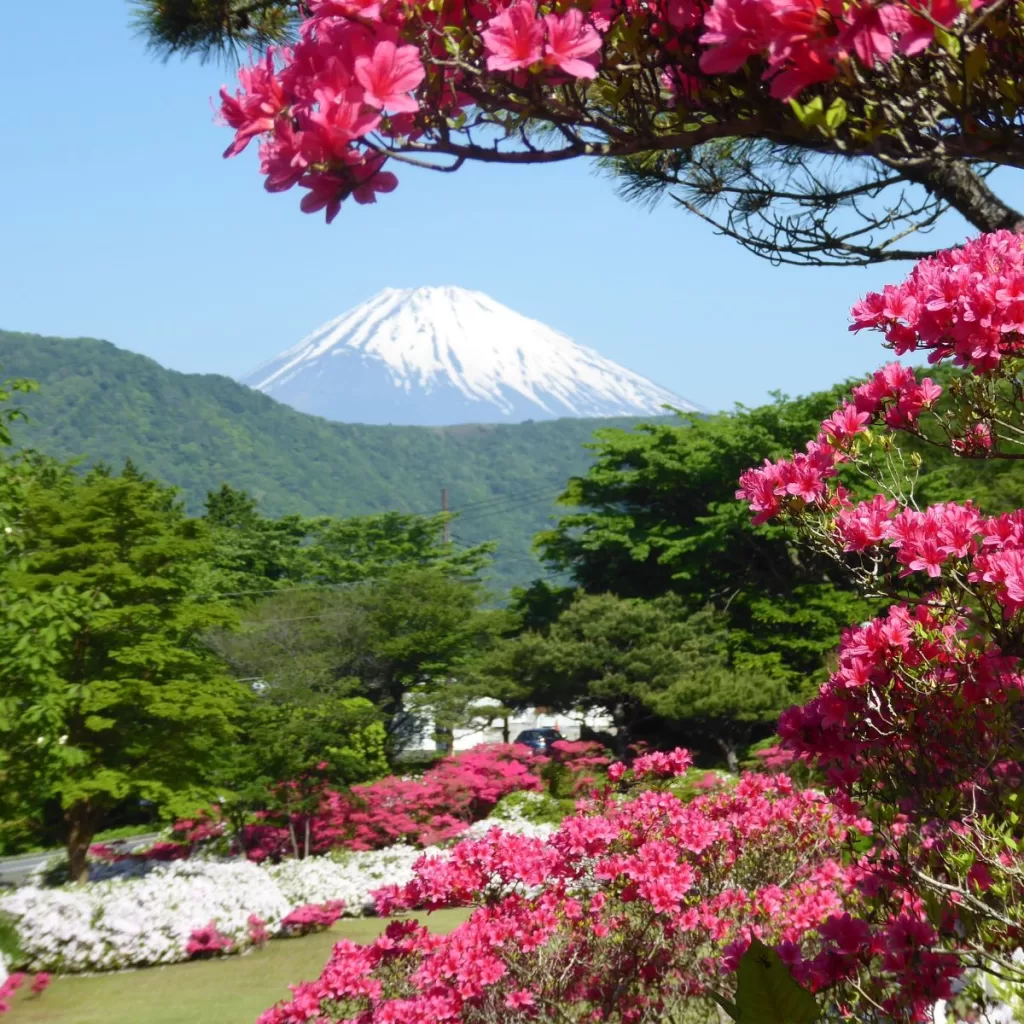 Mount Fuji