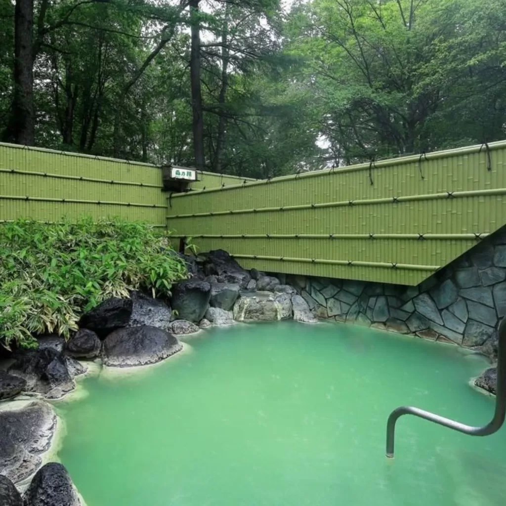 Nikko hot spring