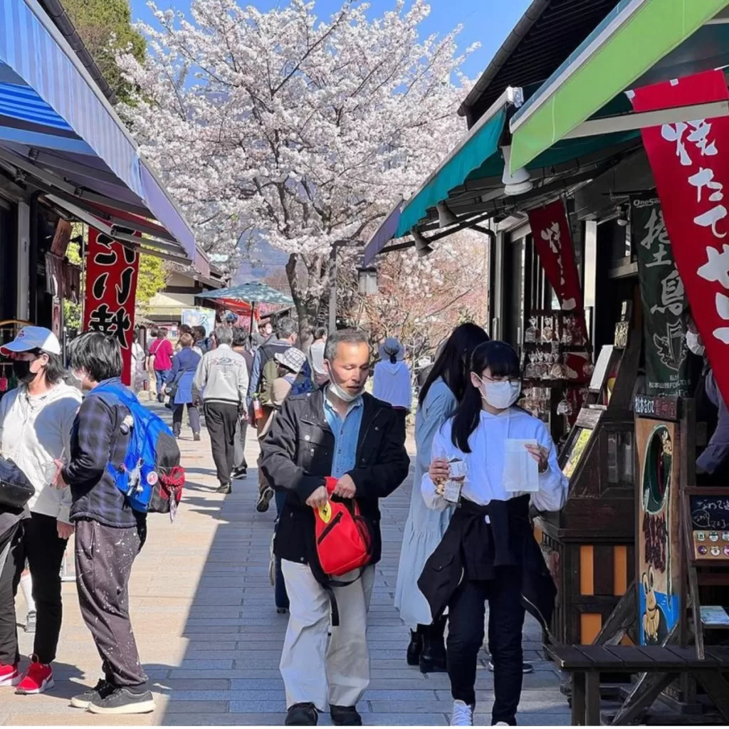 Souvenir Shopping Nakamachi Street