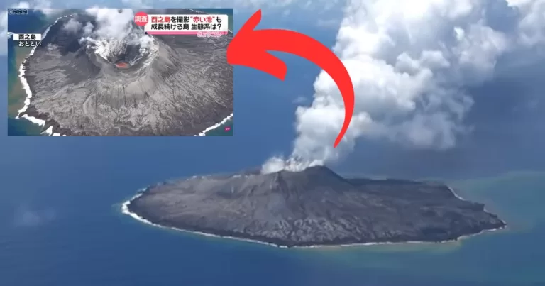 Volcanic Island of Nishinoshima Has Grown 20 Times Larger in 10 Years