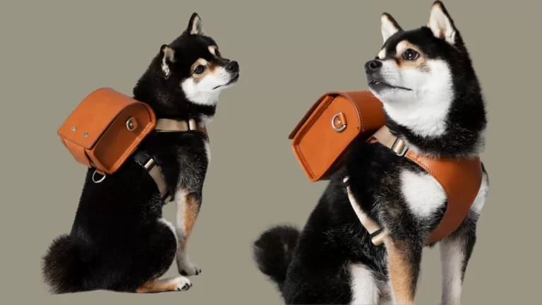 Lap of Luxury: Spoil Your Pooch With a $330 Designer Doggy Randoseru Backpack