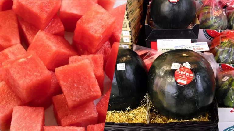 The Legend of the $6,100 Japanese Densuke Watermelon