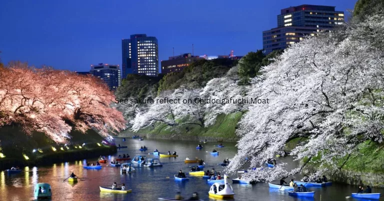 17 EPIC Things To Do in Tokyo For Nature Lovers