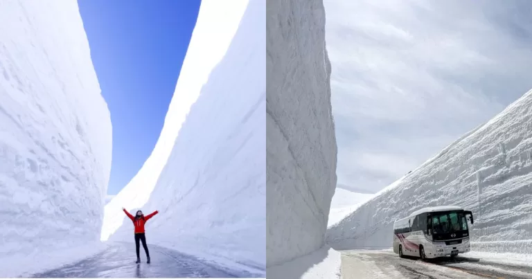 Last Chance to Witness the Awe-Inspiring 20-Meter Snow Walls at Tateyama Kurobe Alpine Route