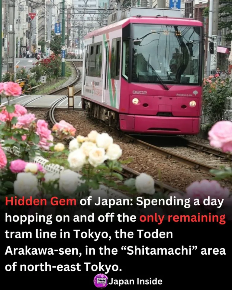 Spending a Day on the Toden Arakawa Line in Tokyo’s Shitamachi Area