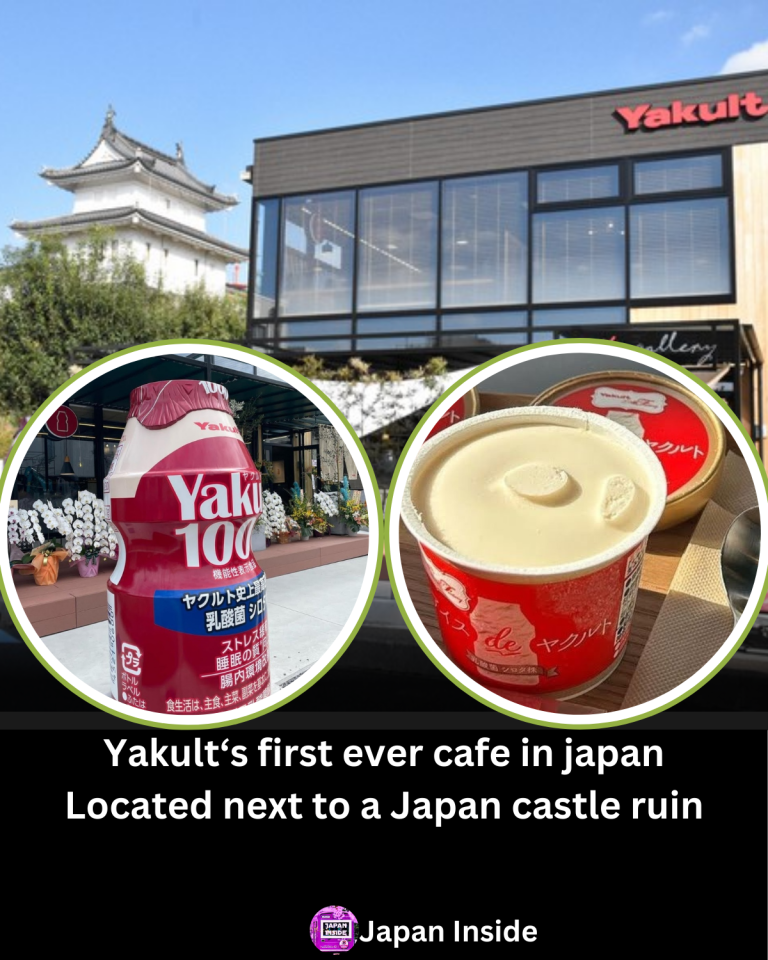 Japan’s First Yakult Cafe: Probiotic Ice Cream and Wellness in Utsunomiya