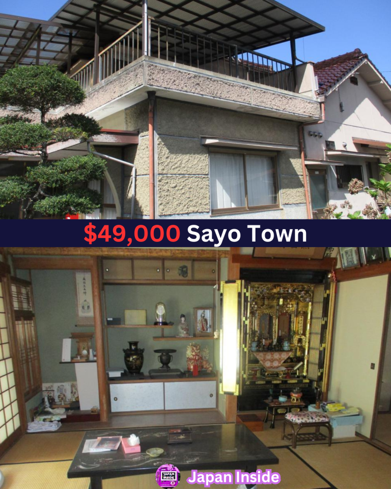 Spacious Rural Retreat in Sayo for just $49,000