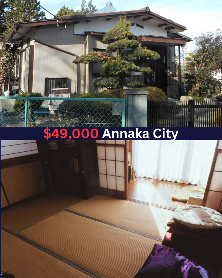 Sunny All-Electric Home in Annaka for just $49,000