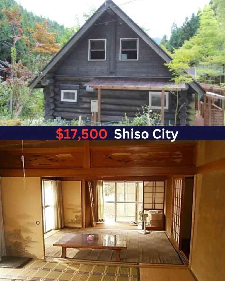 Cozy Hilltop 1LDK Home: $17,500 in Shiso City