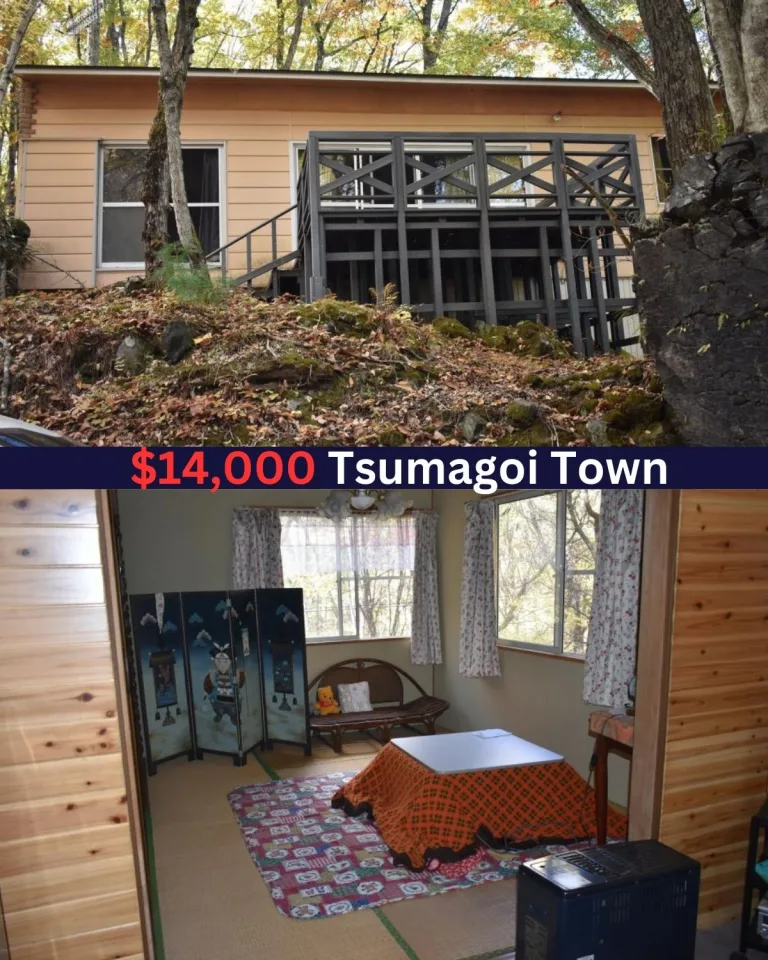 Cozy 2LDK Mountain Retreat, $14,063, Tsumagoi Town