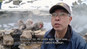 Wild Japanese Macaques, Or Snow Monkeys, Uniquely Soak In Hot Springs